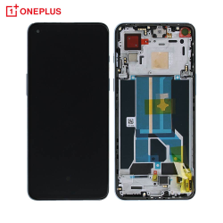 Ecran Tactile Original OnePlus Nord 2T 5G 2011100402 4130222 Jade Fog