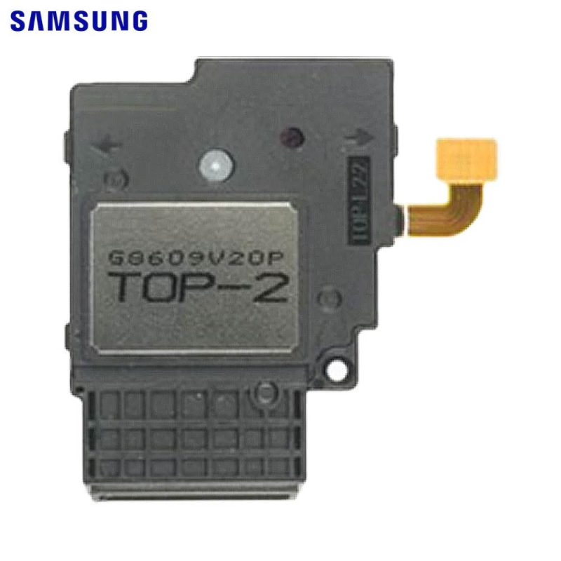 Haut-parleur Samsung Galaxy Tab – PhoneFrance