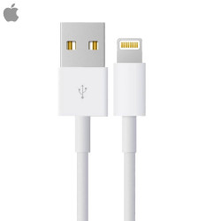 Câble Apple 4Q2E2ZM/A MXLY2 Bulk Blanc – PhoneFrance