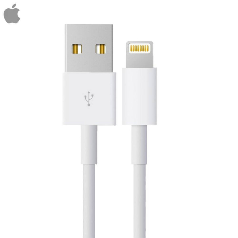 Câble Apple 4Q2E2ZM/A MXLY2 Bulk Blanc – PhoneFrance