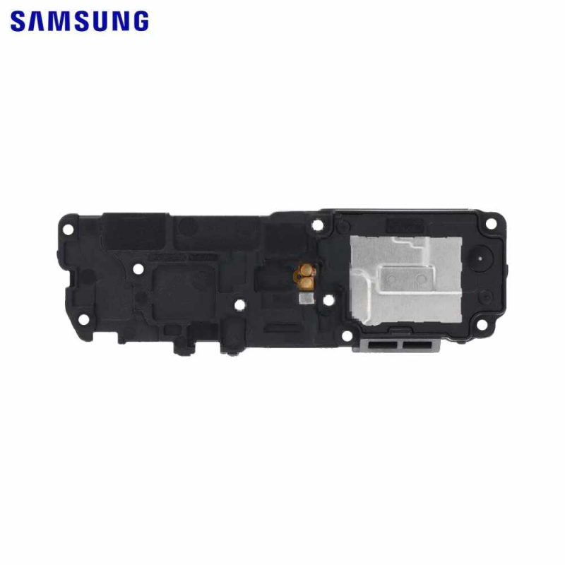 Haut-parleur Samsung Galaxy S – PhoneFrance