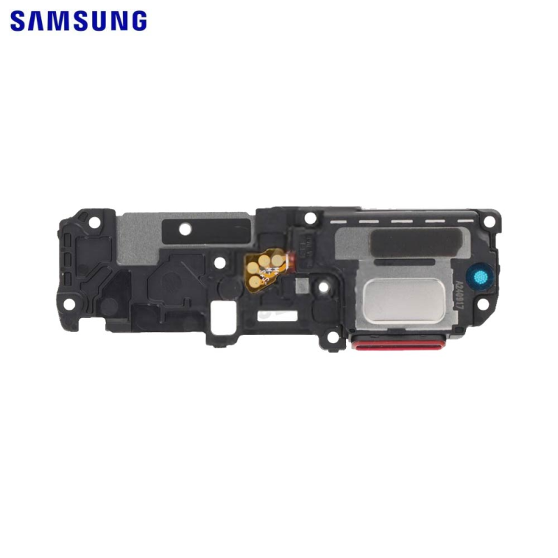 Haut-parleur Samsung Galaxy S – PhoneFrance