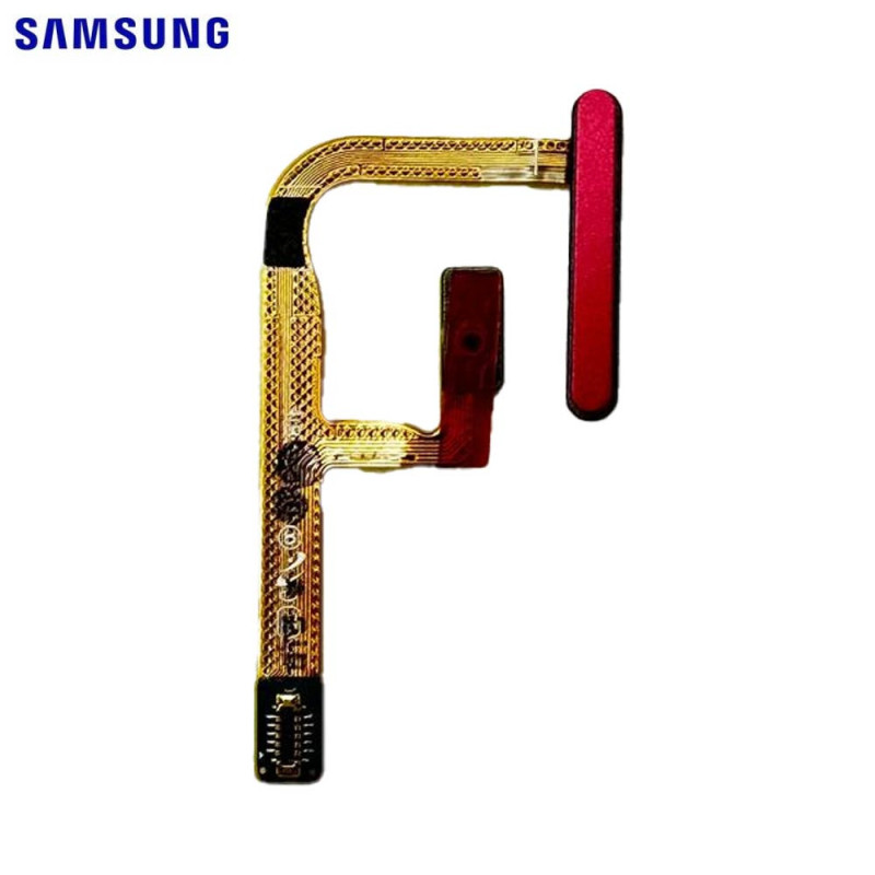 Autres Pièces Samsung Galaxy Z (Pliables) – PhoneFrance