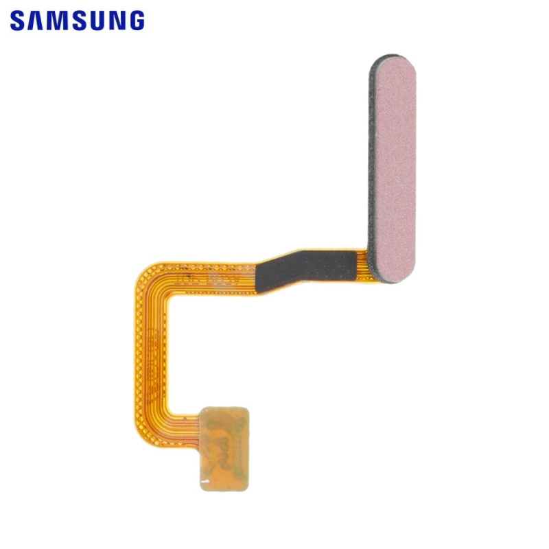 Autres Pièces Samsung Galaxy Z (Pliables) – PhoneFrance